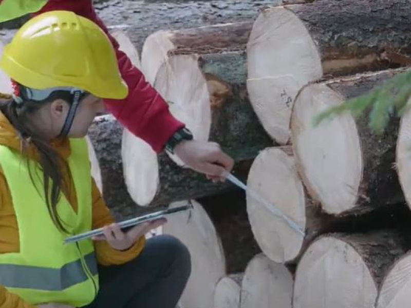 Forestry biomass for a sustainable and circular Bioeconomy