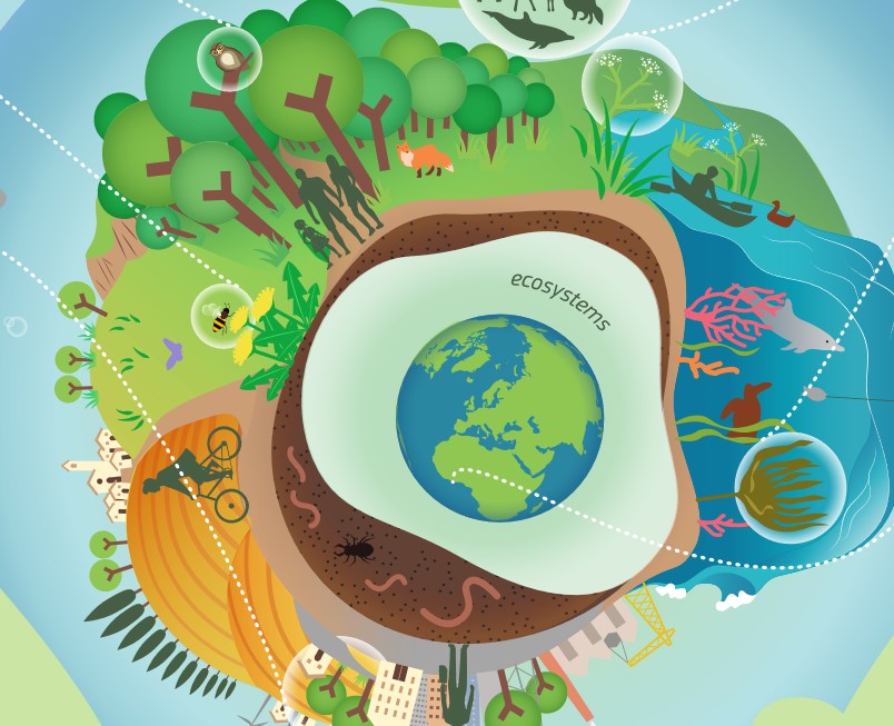 The EU Biodiversity Strategy For 2030 In A Nutshell | European Commission