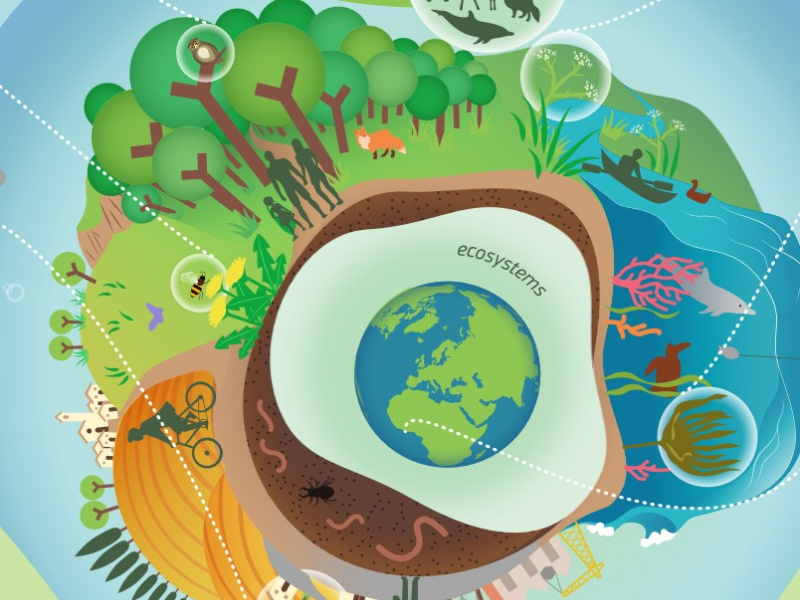 The EU Biodiversity Strategy For 2030 In A Nutshell | European Commission