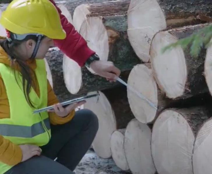 Forestry biomass for a sustainable and circular Bioeconomy