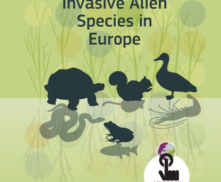 Tracking Invasive Alien Species in Europe with a mobile app