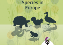 Tracking Invasive Alien Species in Europe with a mobile app