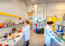 European Union Reference Laboratory for Food Contact Materials